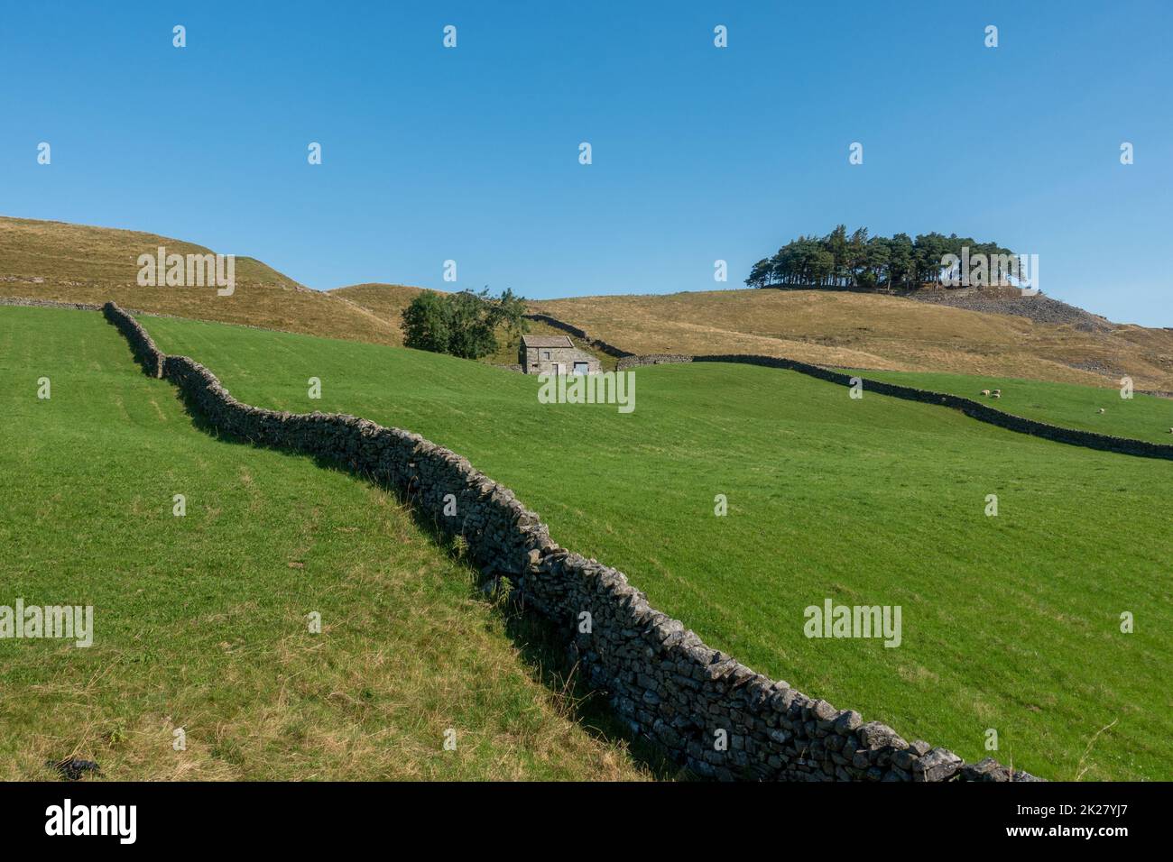 Stunning countryside view with old stone barn and drystone walls, near Brough, North Pennines, Cumbria, England, UK Stock Photo