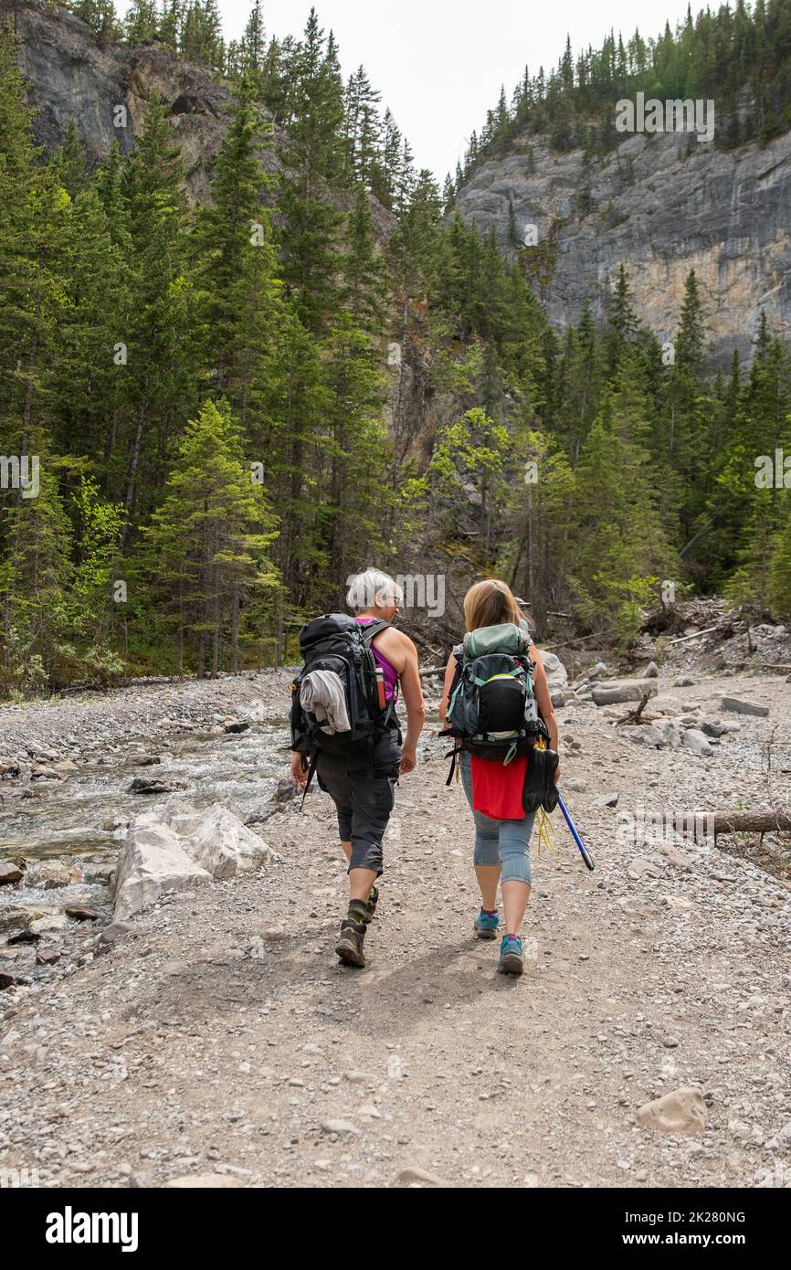 Women friends hiking on rocky trail in woods Stock Photo - Alamy