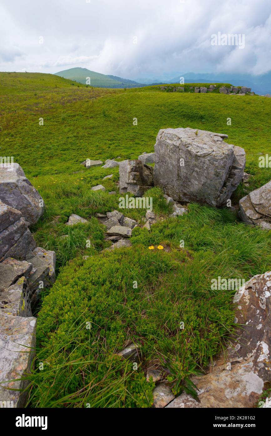 stones and boulder on the steep slope. grassy alpine meadows of carpathian countryside. mountain landscape in summer with overcast sky Stock Photo