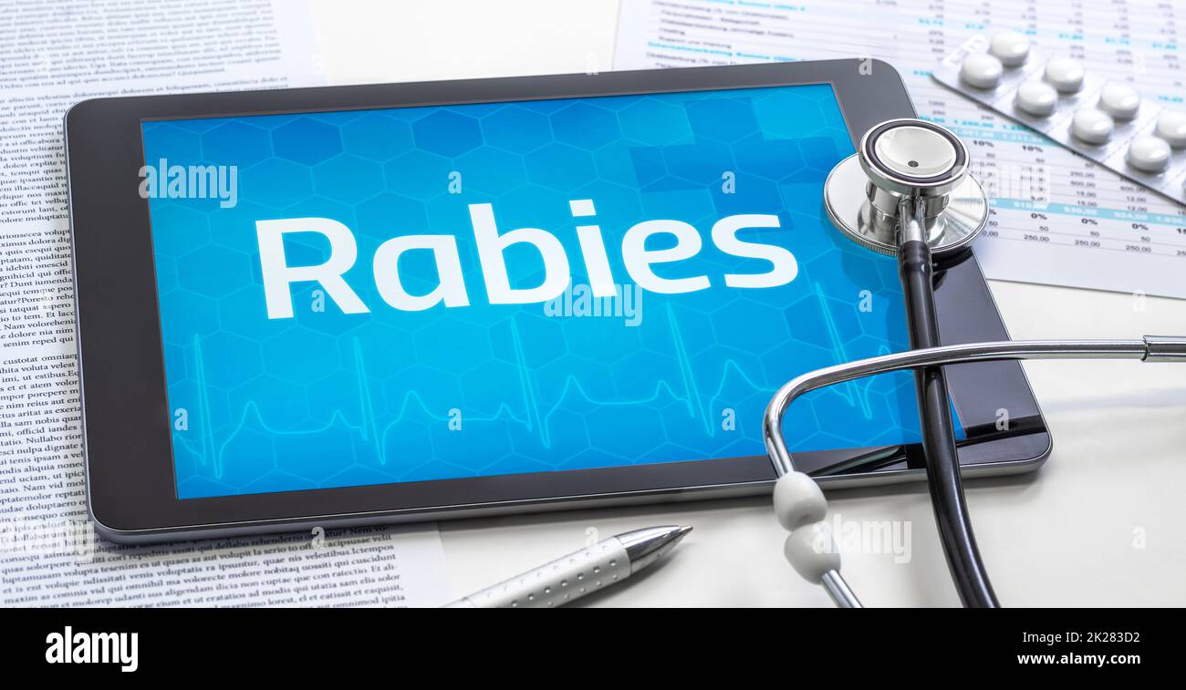 The word Rabies on the display of a tablet Stock Photo