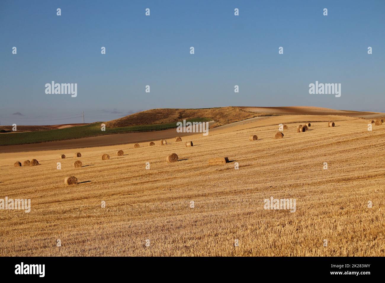 Spanishspanish mowed field of Spain with straw collected in bales