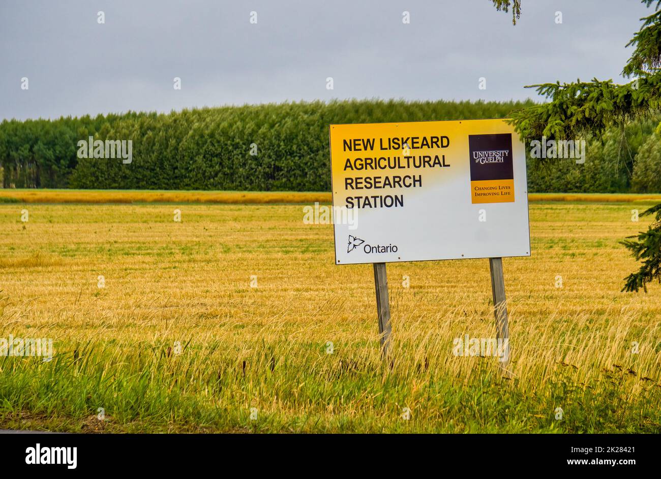 Ontario Agriculture Research Station sign in field in New Liskeard, Temiskaming Shores, Canada Stock Photo