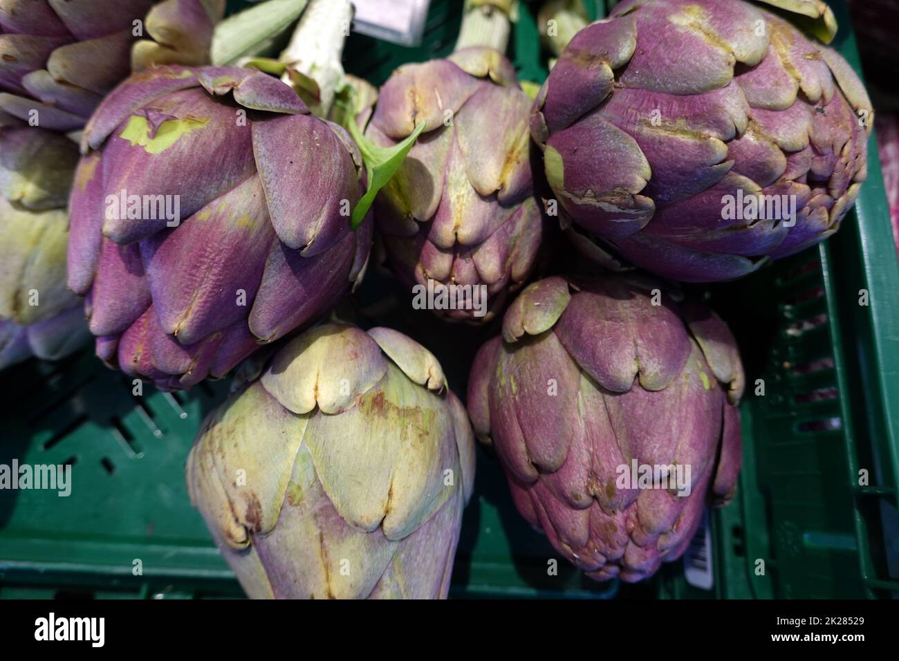 Bio artischocken hi-res stock photography and images - Alamy