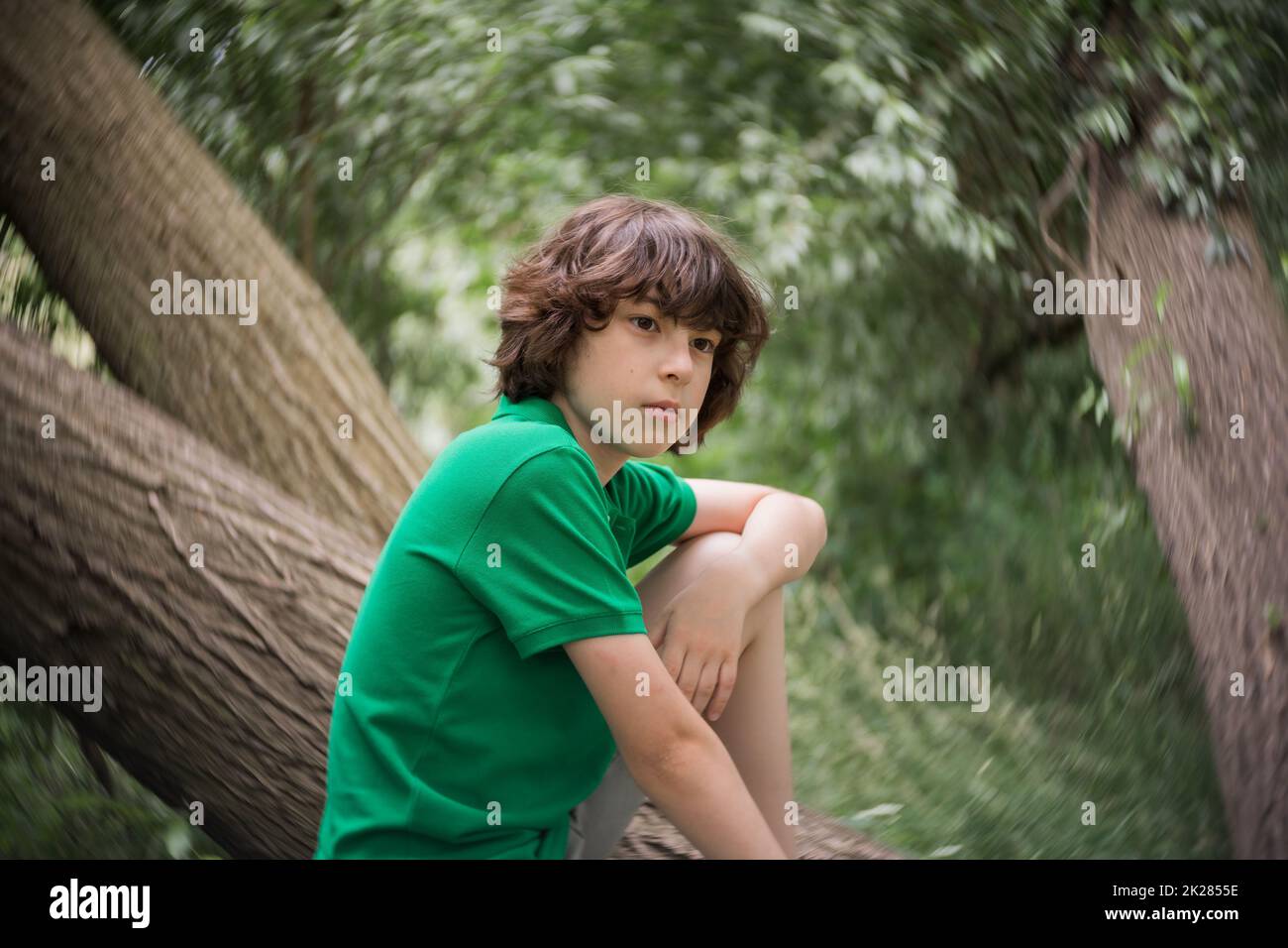 Portrait of a boy on the background of nature. Stock Photo