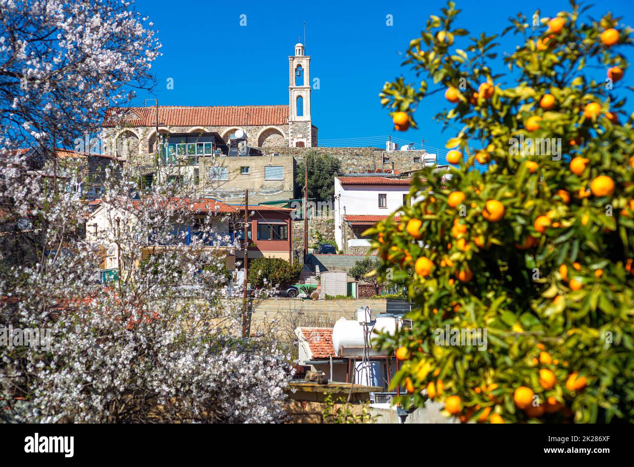 Cyprus, Kellaki village church seen through almond and orange trees Stock Photo