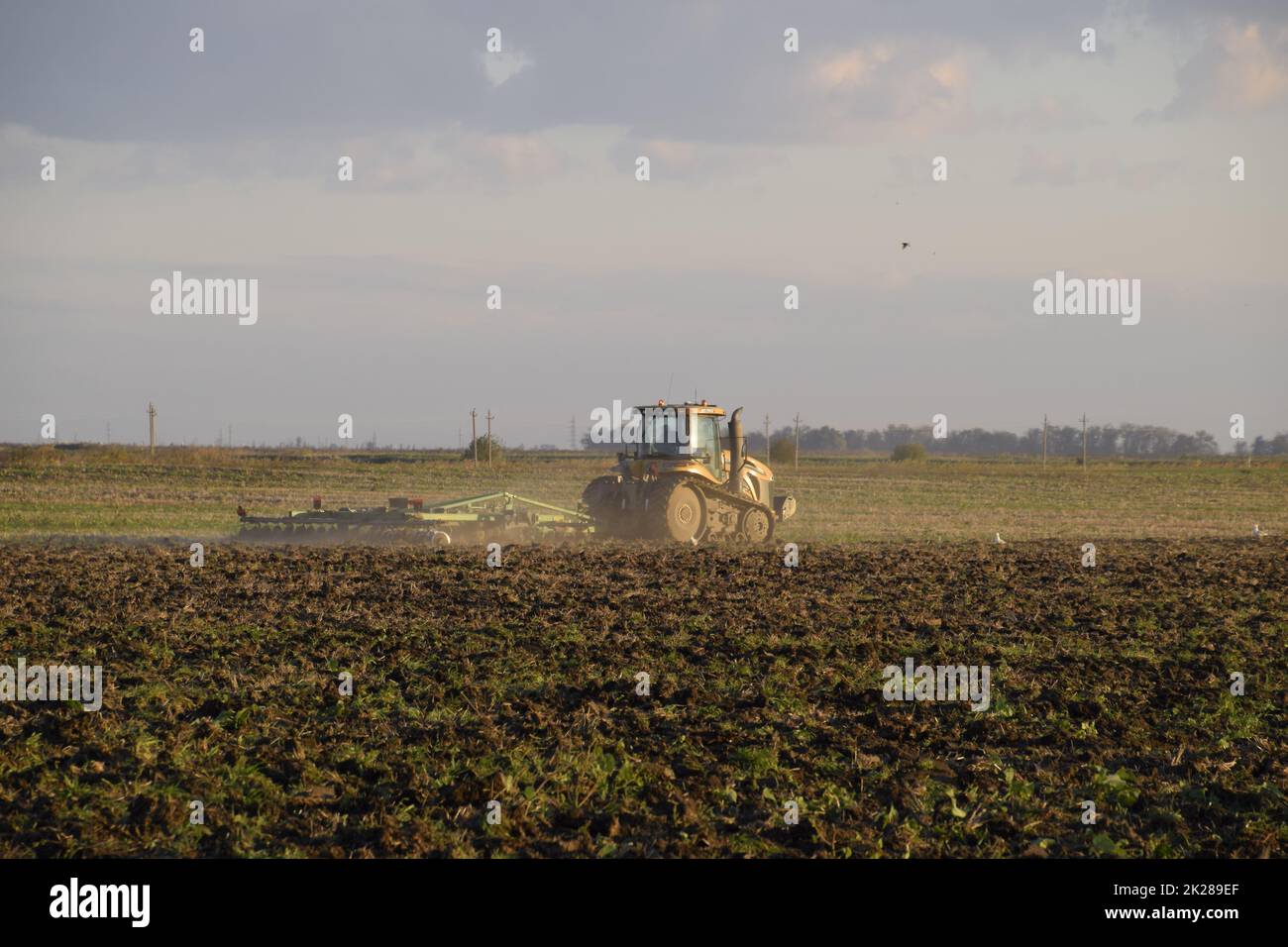 Tractor plowing plow the field. Tilling the soil in the fall after