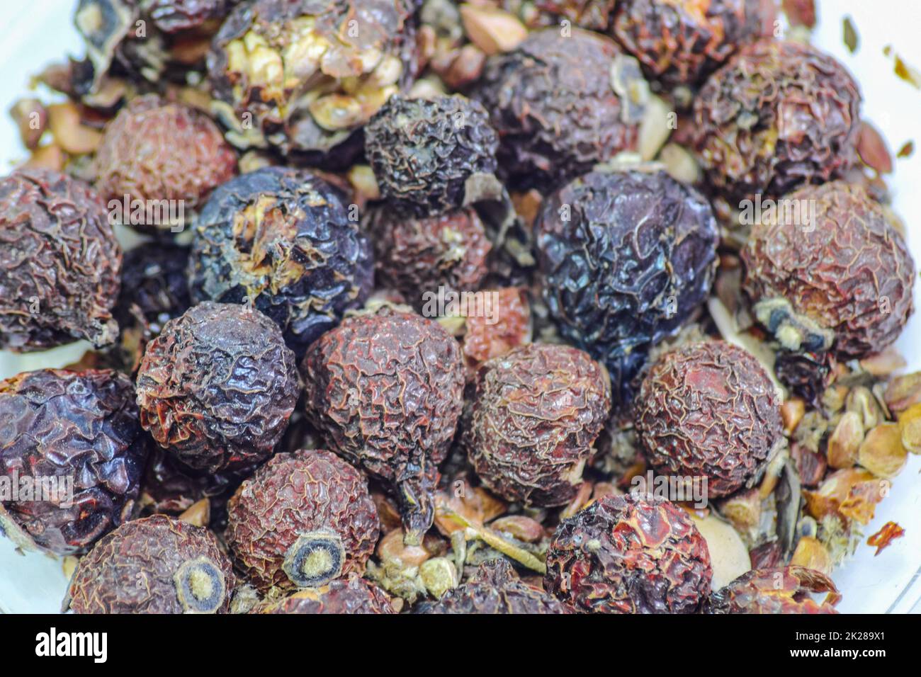 Dried wild rose. Dry fruit of wild rose berries. Stock Photo