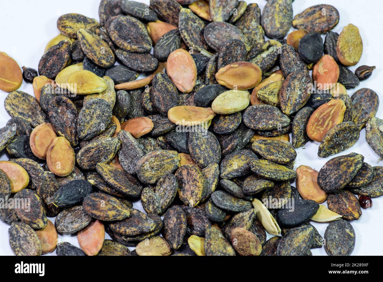 Seeds of watermelon on a white background. watermelon seeds for sowing. Stock Photo