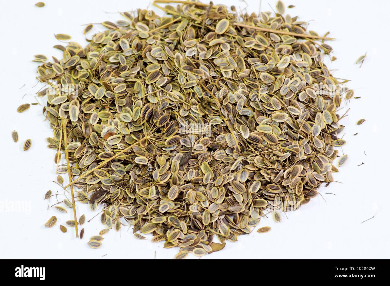 Dill seeds. Storage for seed dill seeds. Aromatic seasoning Stock Photo ...