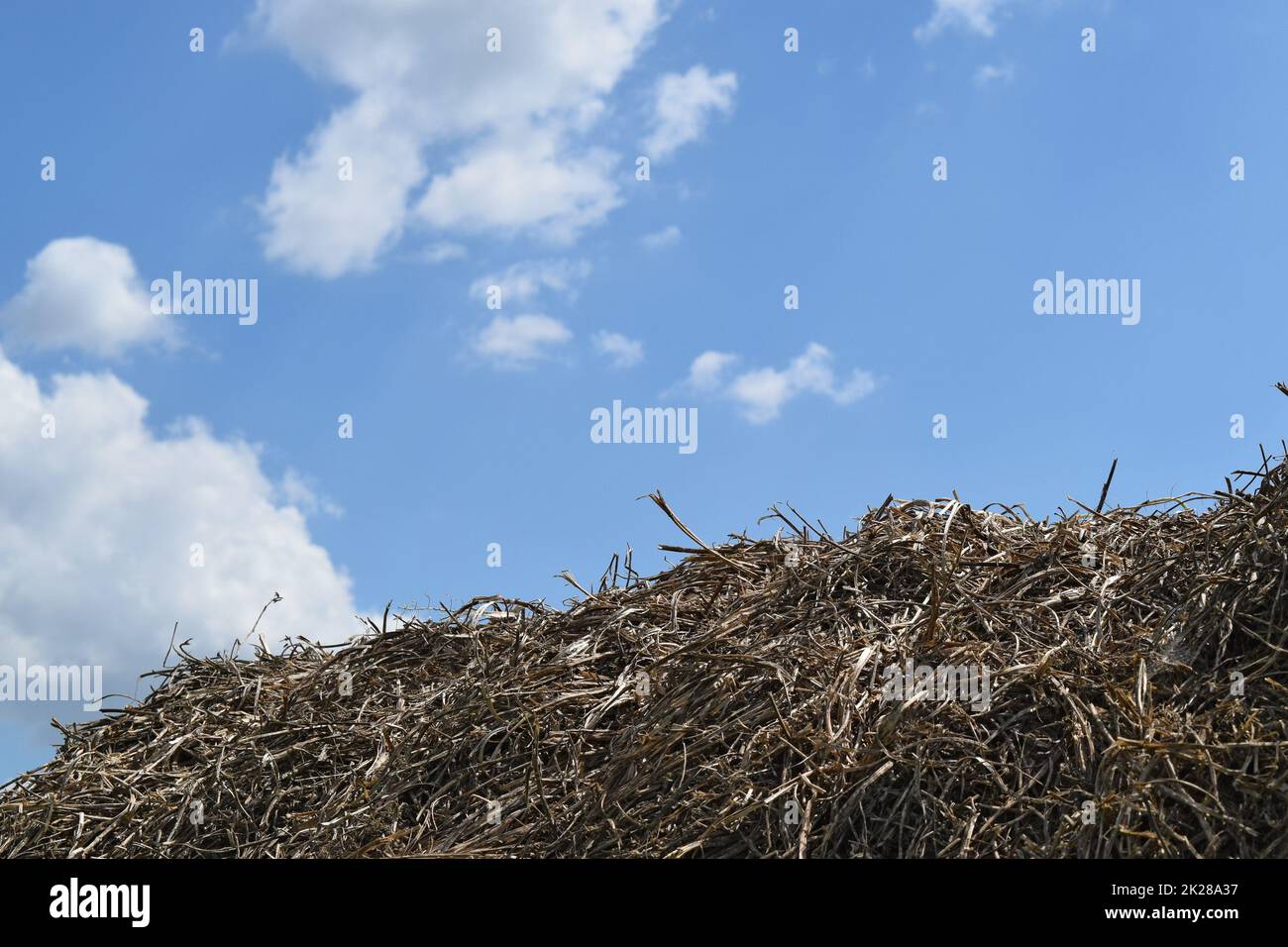 Background haystack hi-res stock photography and images - Alamy