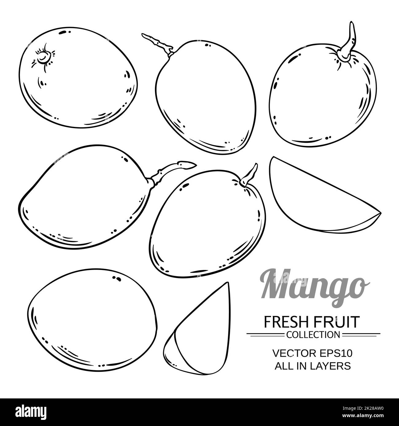 mango fruit vector isolated on white background Stock Photo Alamy