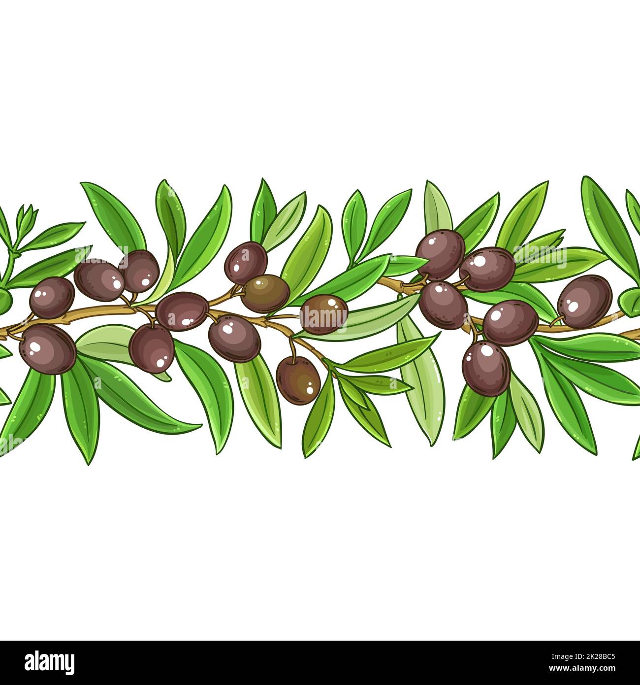olive branches vector pattern on white background Stock Photo