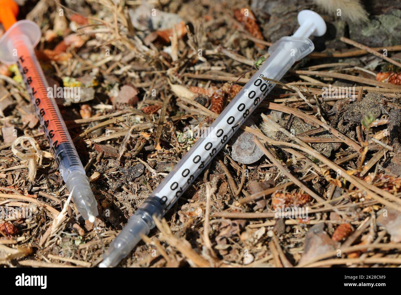 Two used syringes abandoned in the woods by drug addicts after use