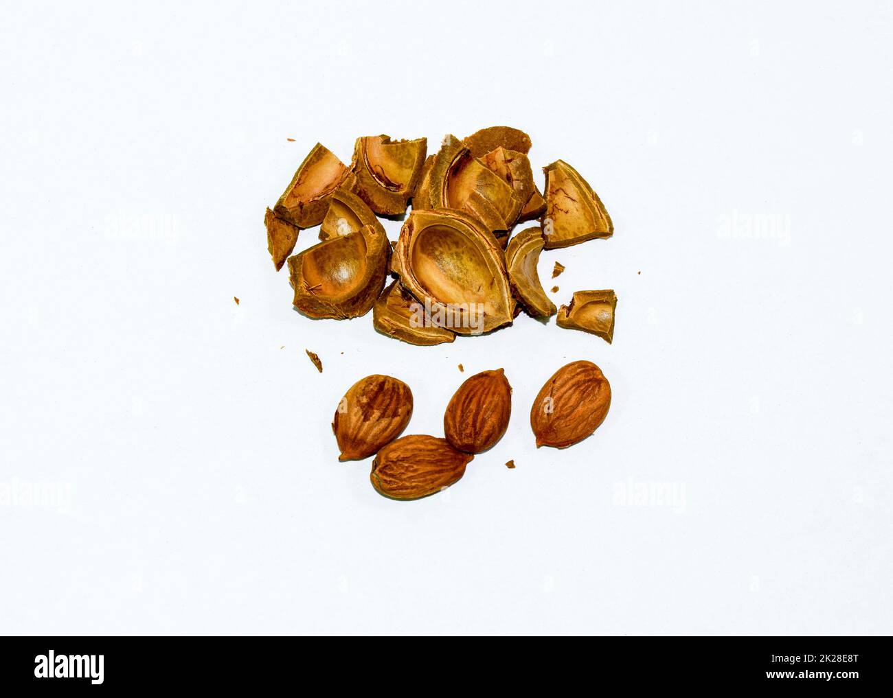 Bones of apricot. Seeds are stubble for sowing. An apricot seed. Stock Photo