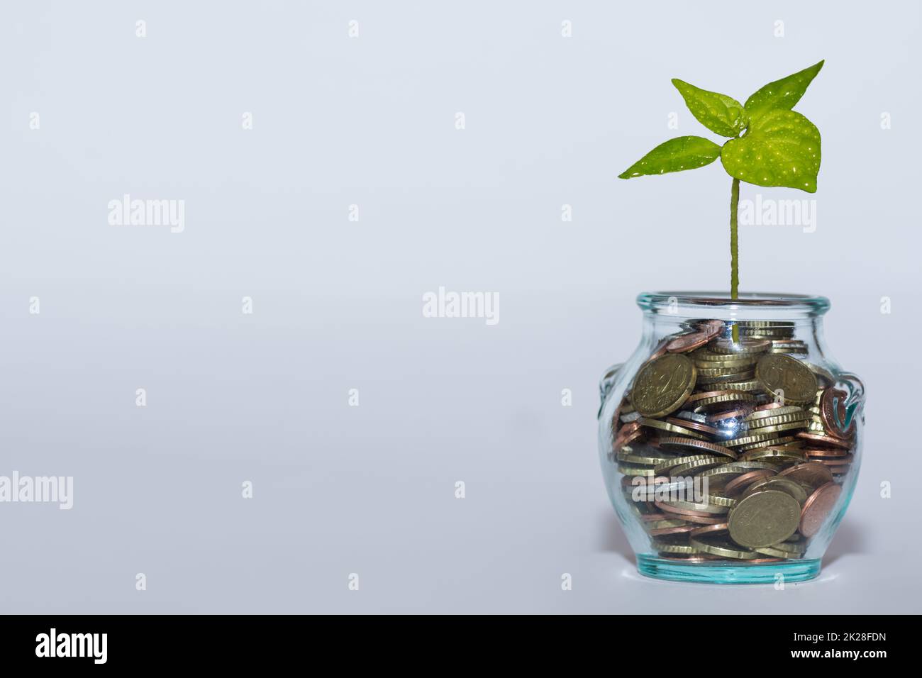 glass with many different coins and a green plant increase money at the financial market with white Stock Photo