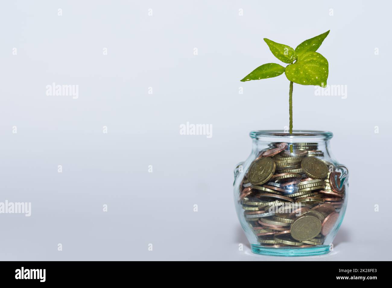glass with many different coins and a green plant increase money at the financial market with white background front Stock Photo