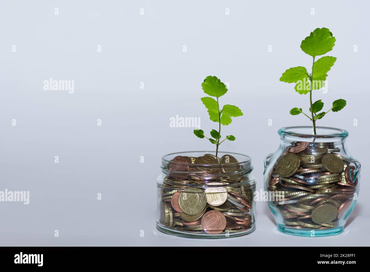 two glasses with coins and a large green plants increase money at the financial market with white Stock Photo