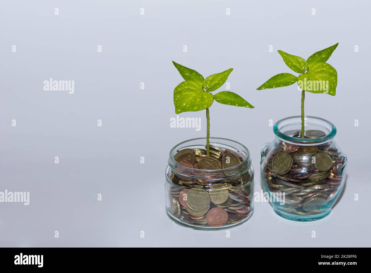 two glasses with coins and a green plant increase money at the financial market with white background view Stock Photo