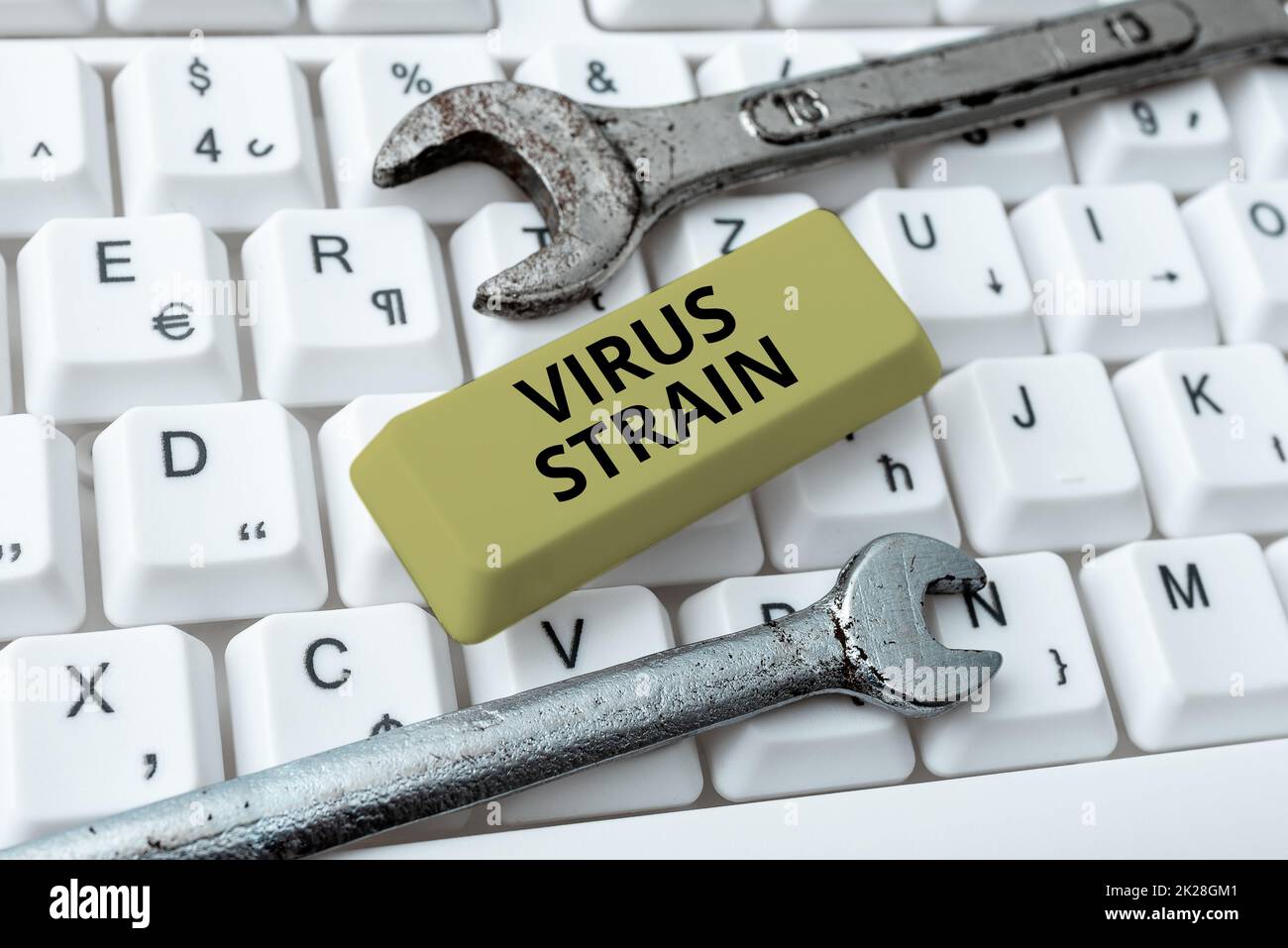 Handwriting text Virus Strain. Concept meaning Virus Strain Connecting