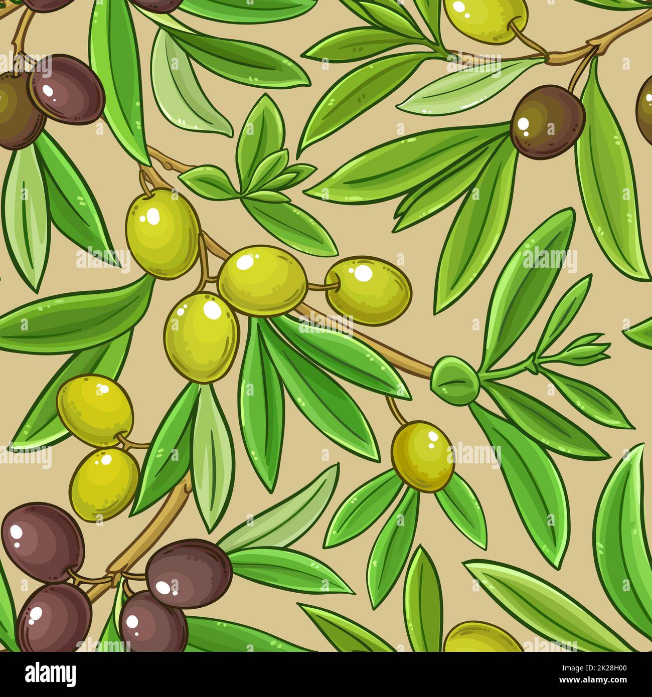 olive branches vector pattern on color background Stock Photo