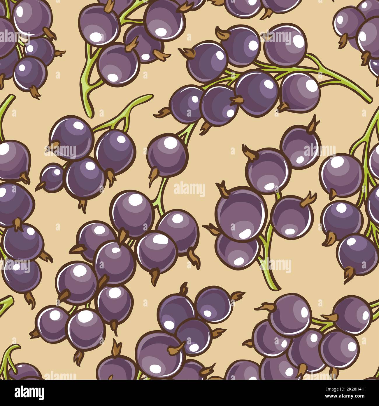 Botanical illustration of black currant hi-res stock photography and images  - Page 2 - Alamy