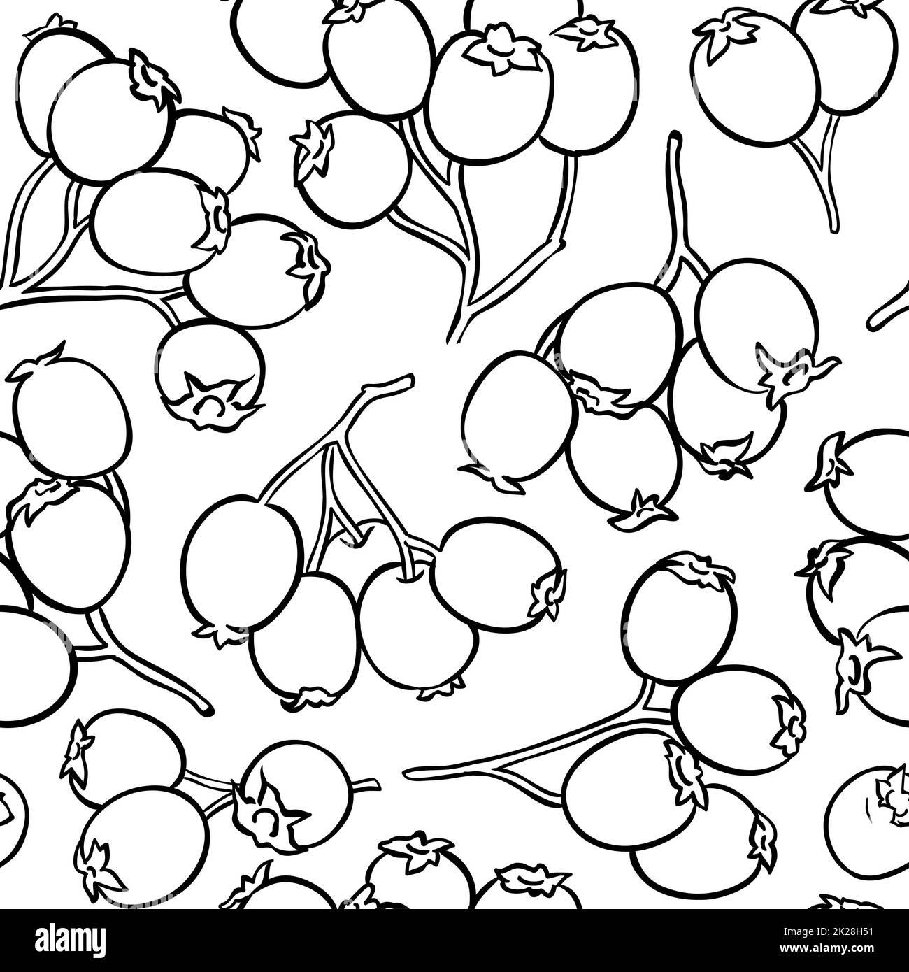 hawthorn berries vector pattern Stock Photo