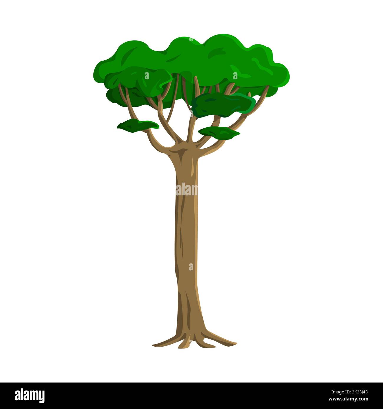 Cartoon big old tree hi-res stock photography and images - Alamy