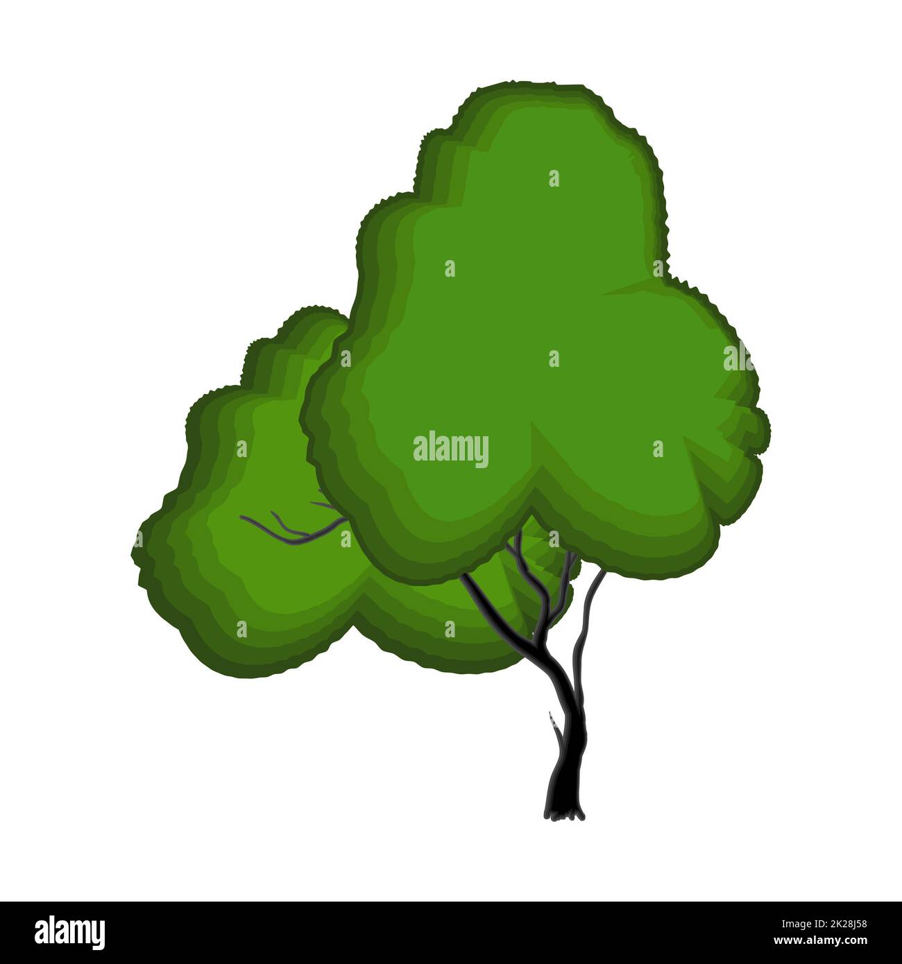 Realistic green sprawling tree isolated on white background - Vector ...