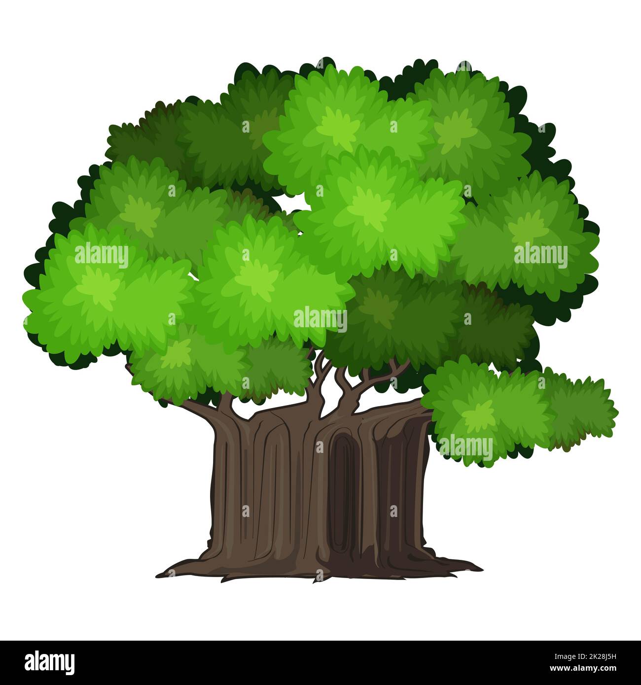 Realistic green oak tree isolated on white background - Vector Stock ...
