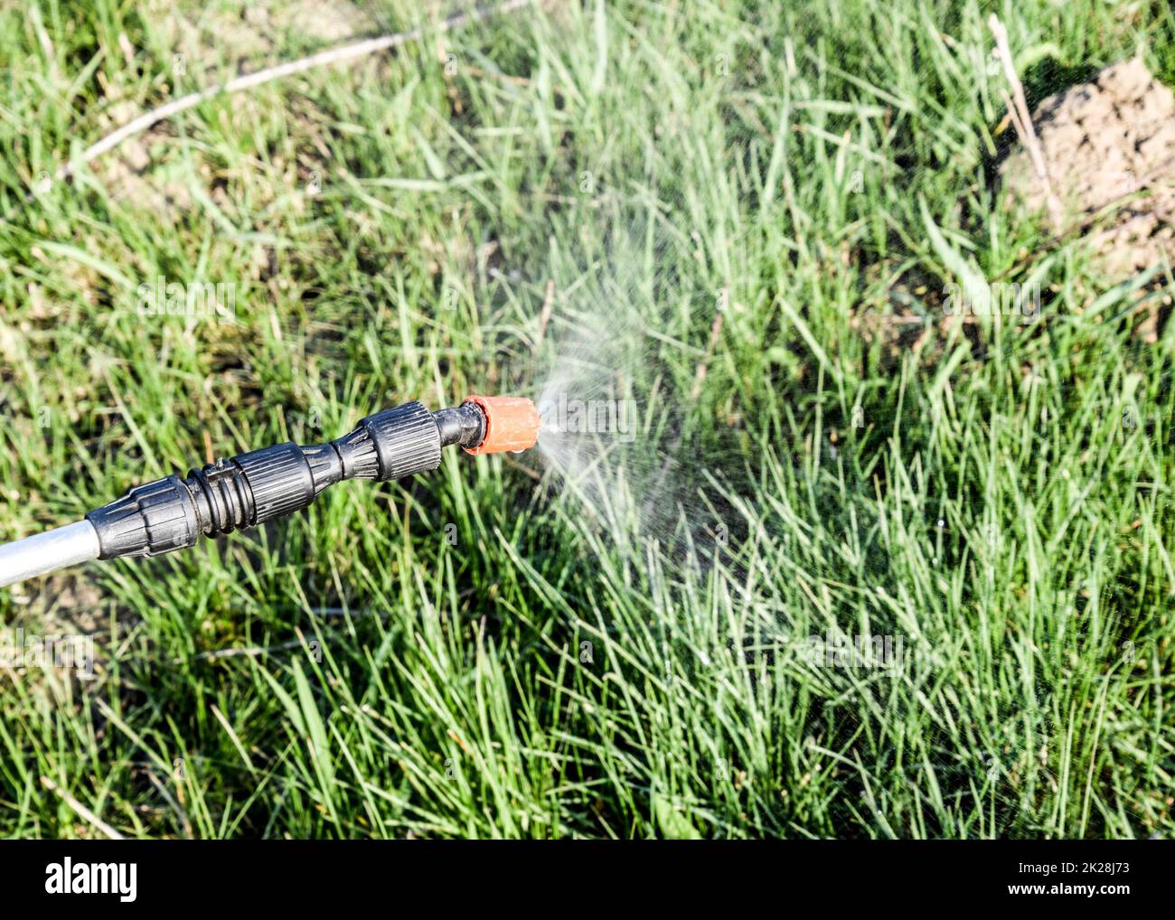 Spraying herbicide from the nozzle of the sprayer manual Stock Photo