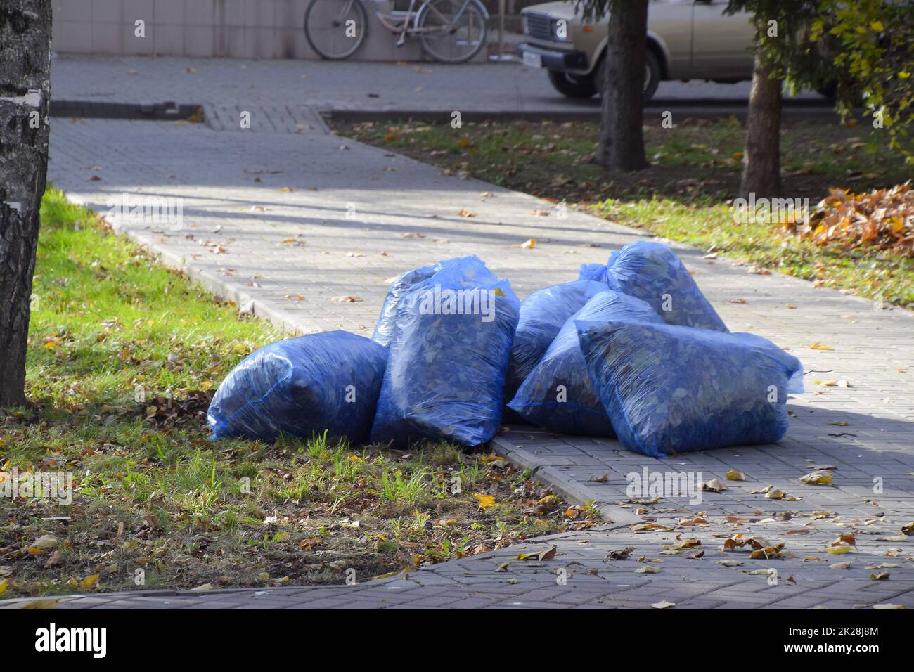 bags with dry leaves. Cleaning the leaves in the park Stock Photo