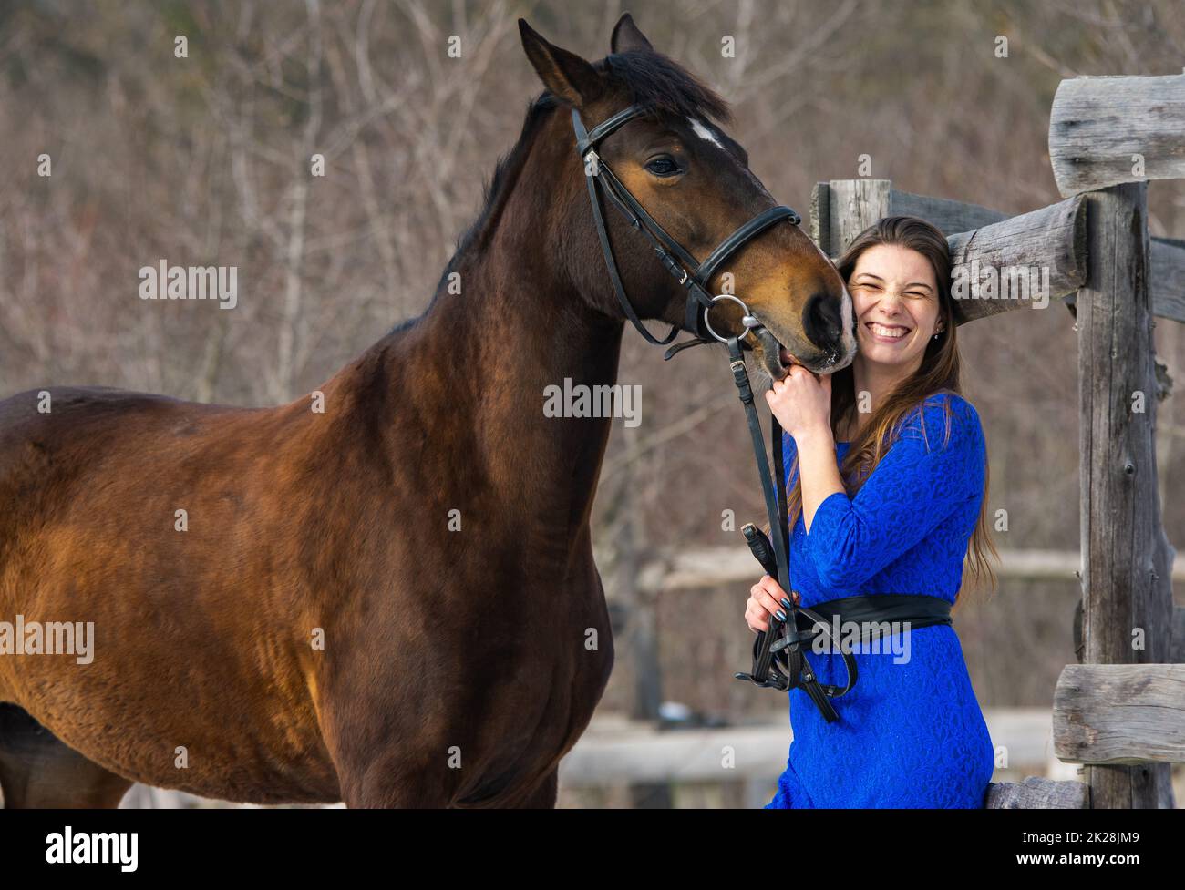 The horse caresses and bites the hand of a young beautiful girl Stock Photo