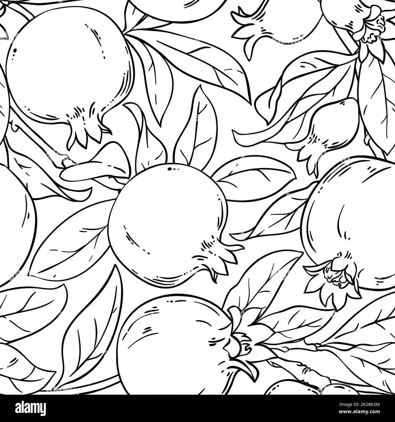 pomegranate vector pattern Stock Photo