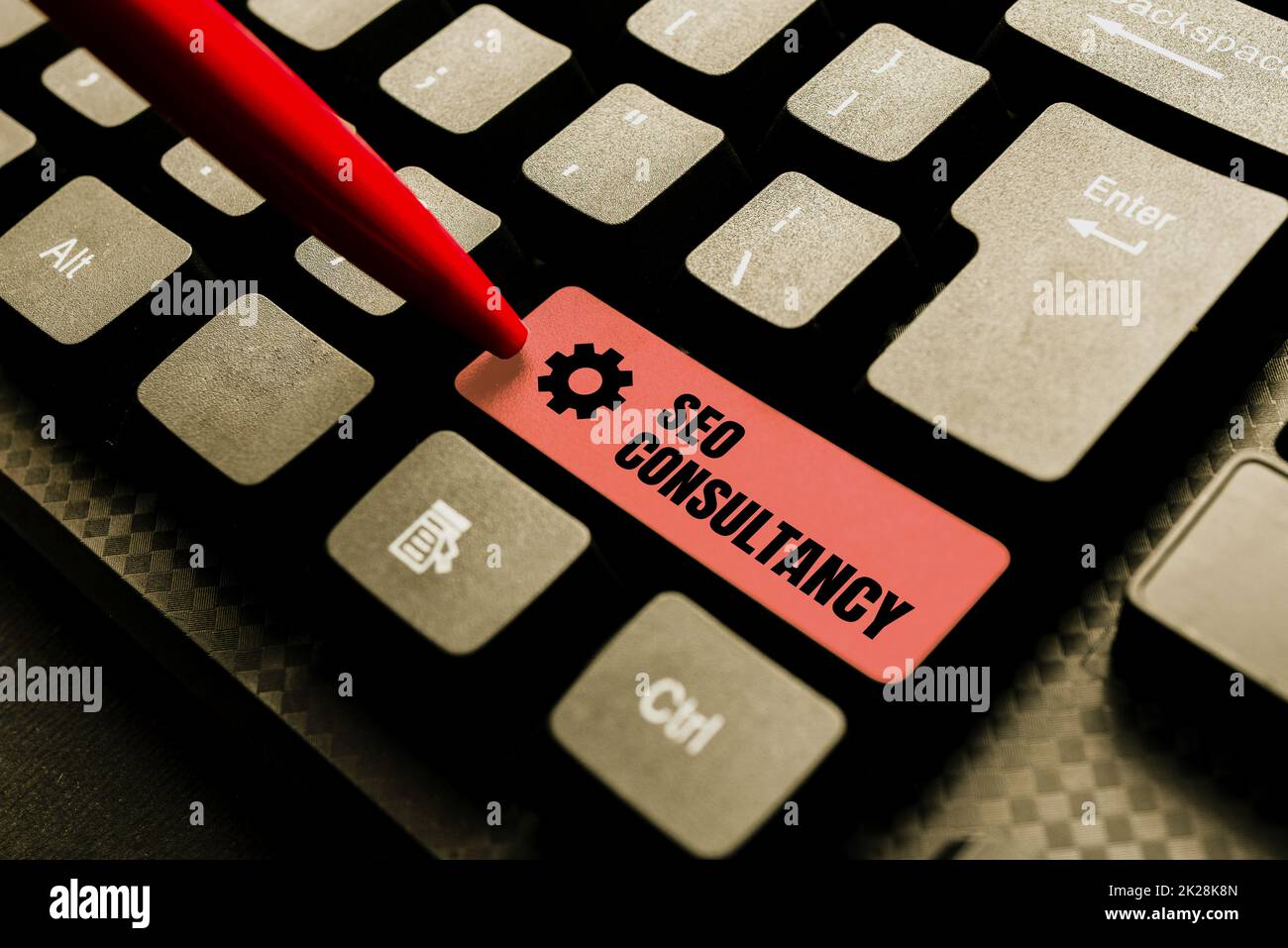 Text caption presenting Seo Consultancy. Word Written on specialize in ...