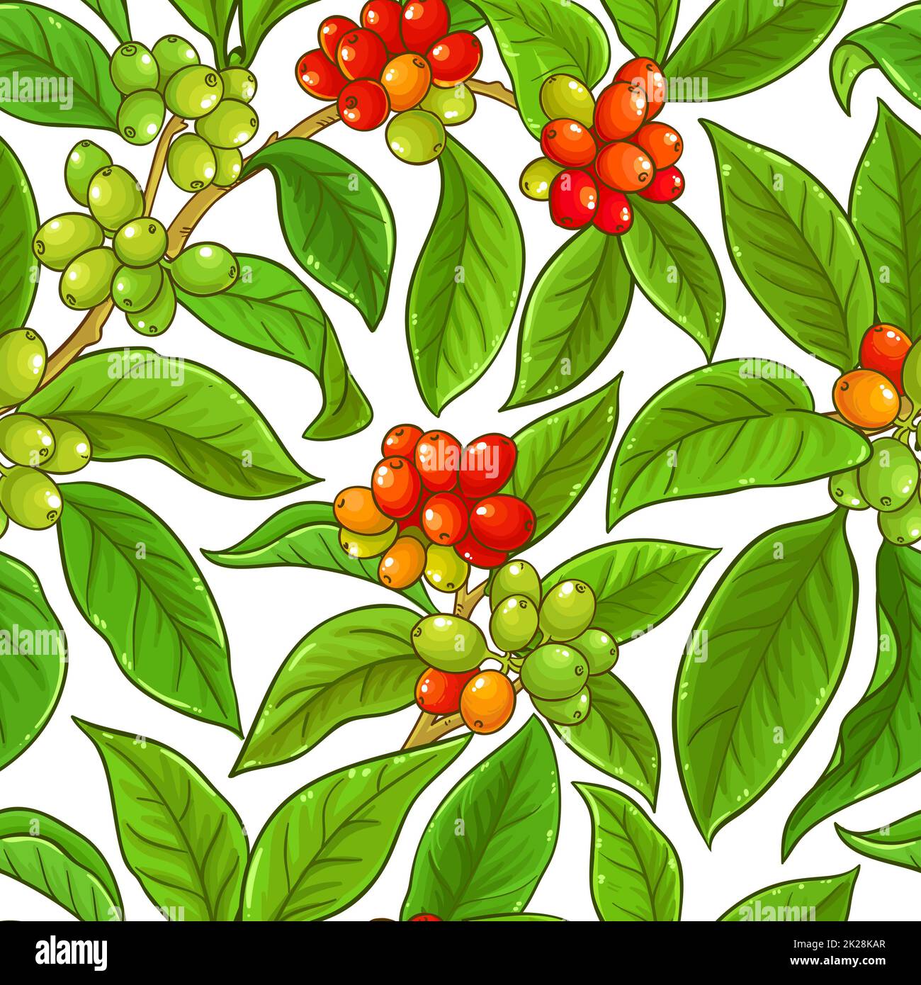 coffee branches vector pattern on white background Stock Photo - Alamy