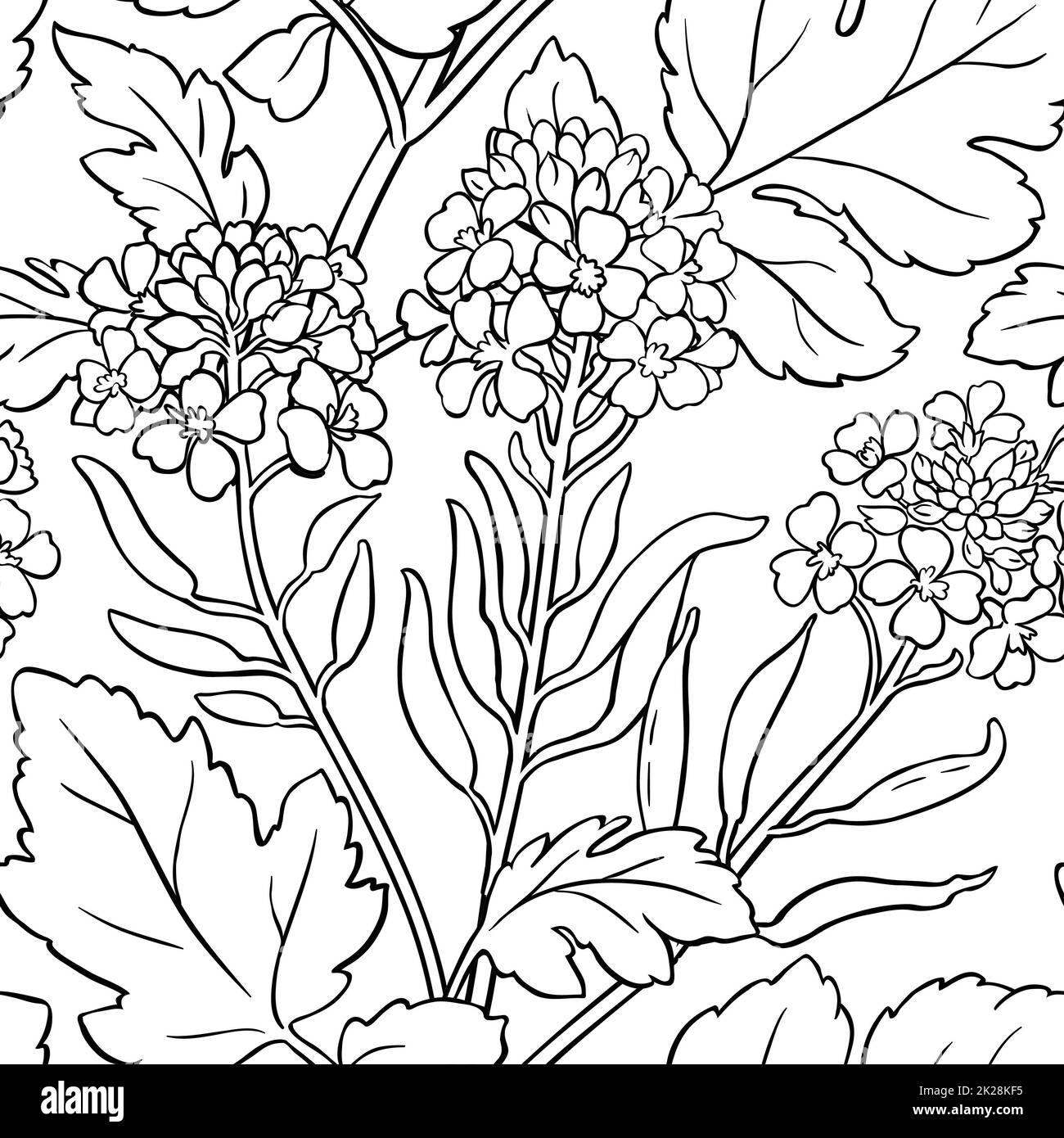 mustard plant vector pattern on white background Stock Photo