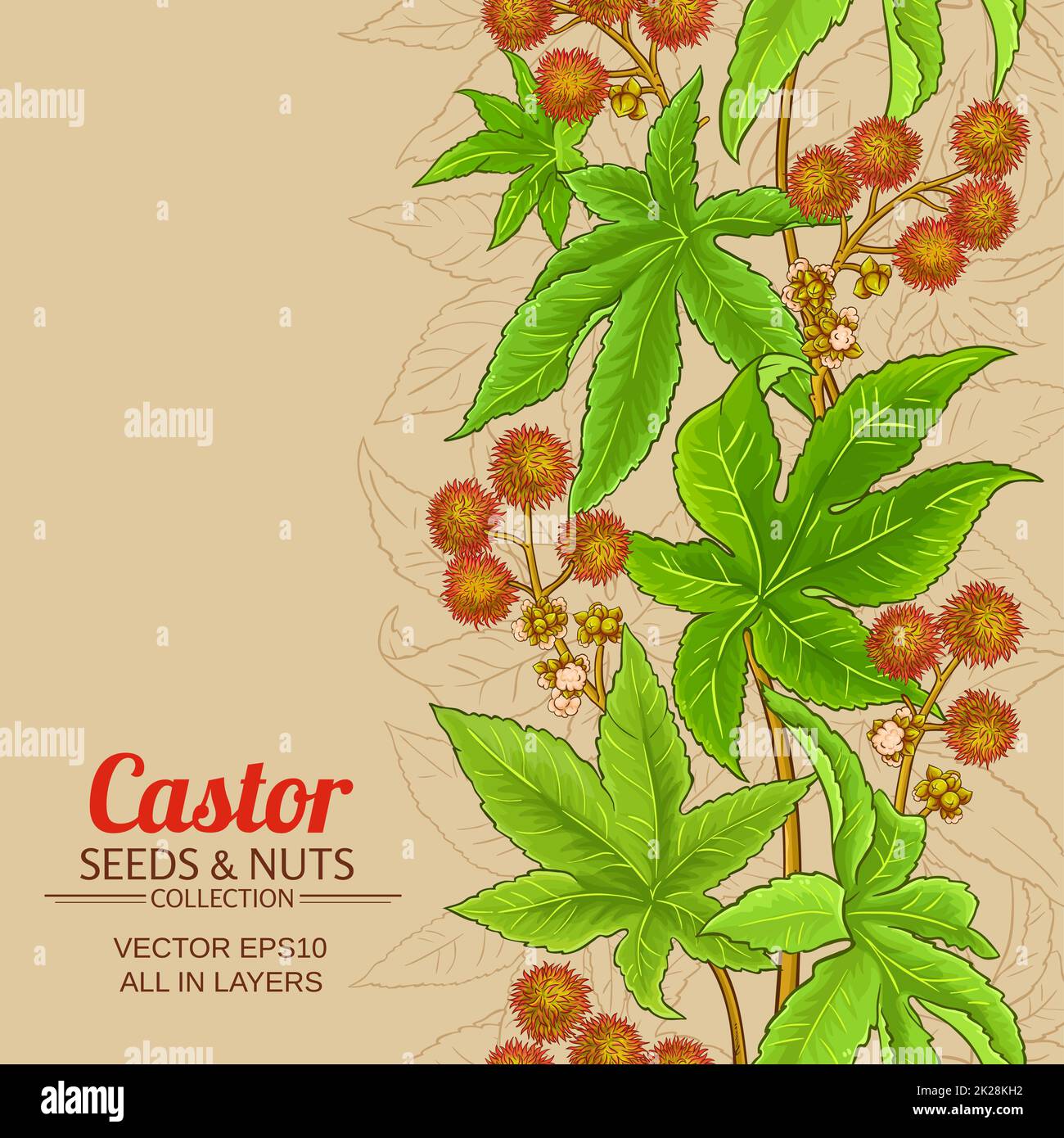 Castor Tree Pattern Vector branch hi-res stock photography and images - Alamy