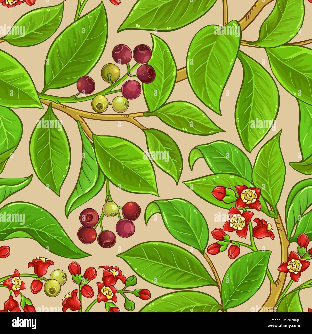 sandalwood branches vector pattern Stock Photo