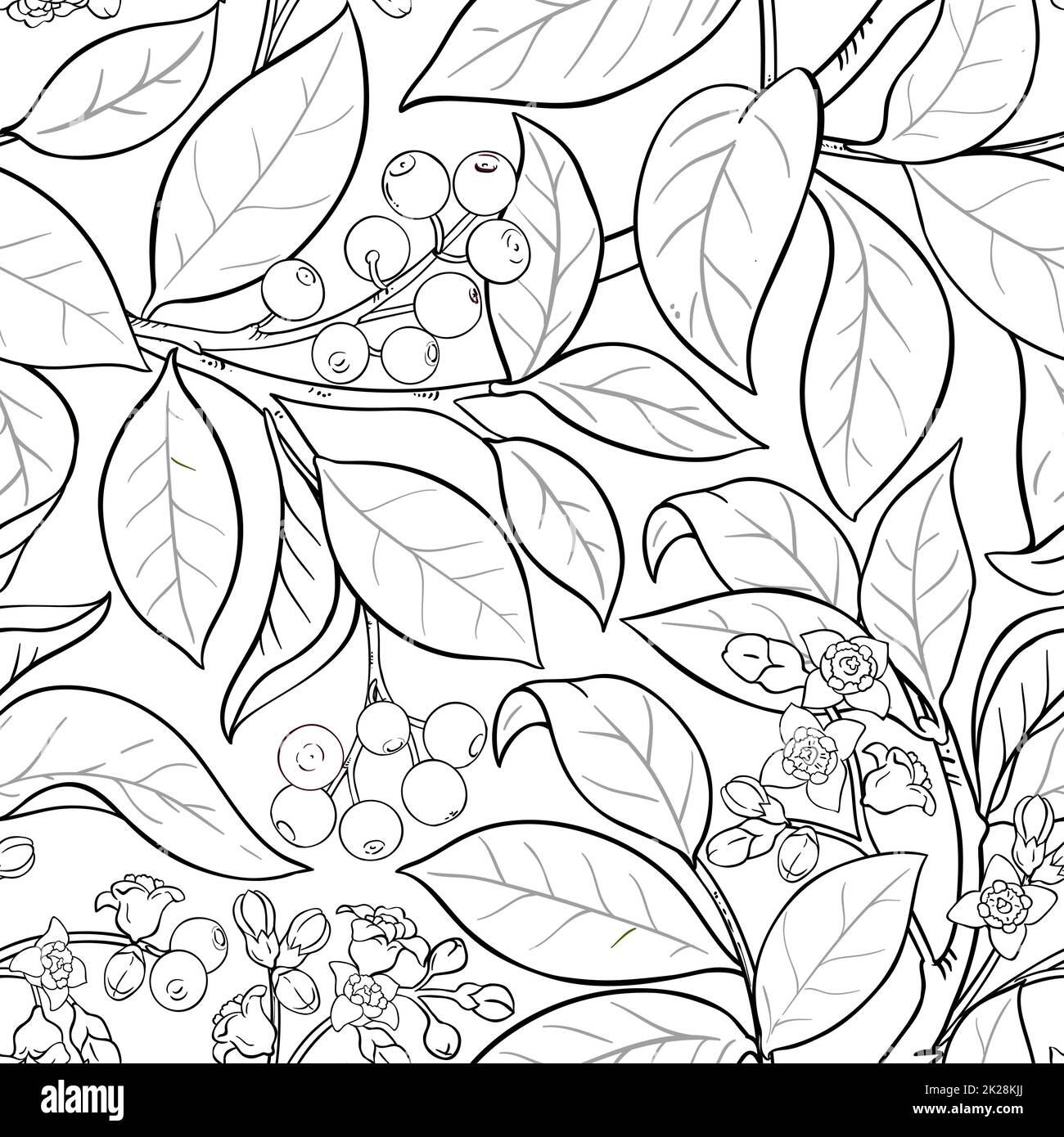 sandalwood branches vector pattern Stock Photo
