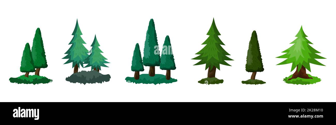 Set of 6 pcs spruce on a white background - Vector Stock Photo - Alamy