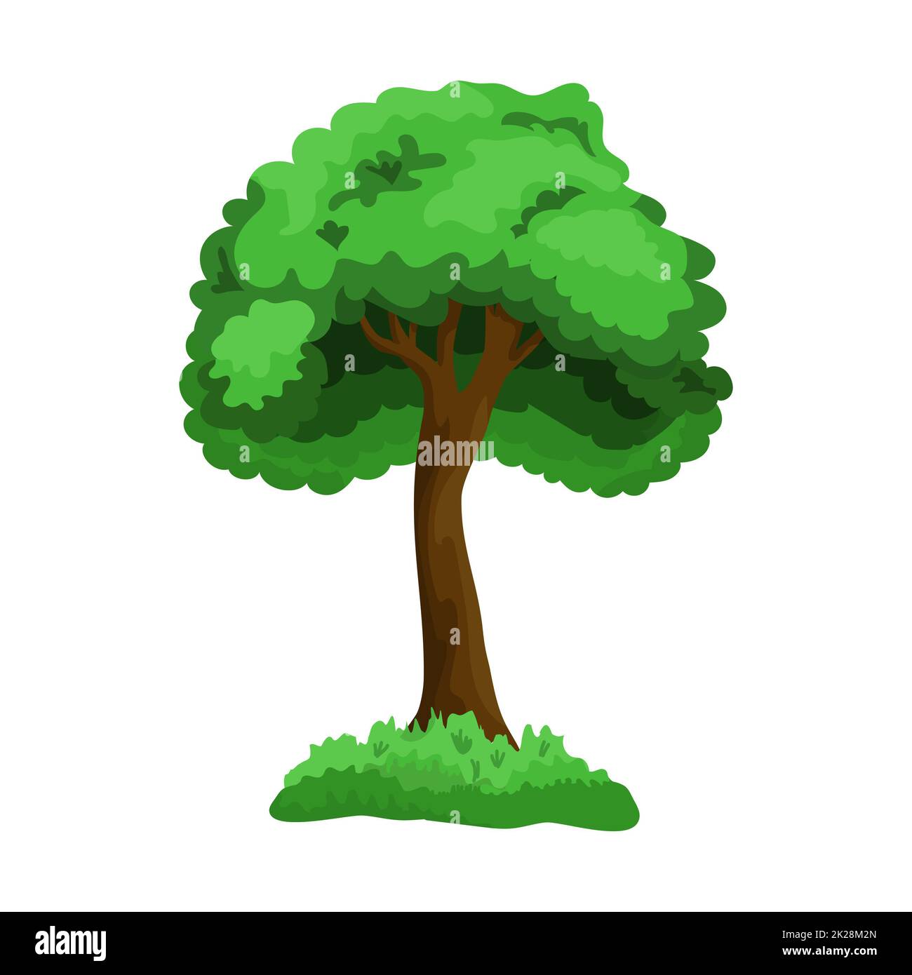 Realistic green deciduous tree isolated on white background - Vector ...