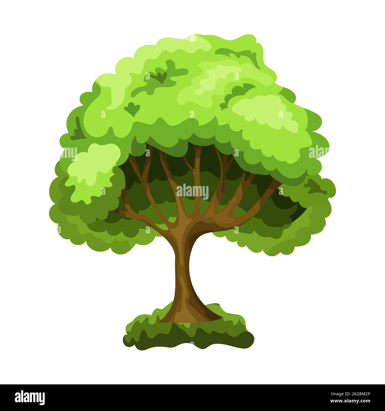 Realistic green deciduous tree isolated on white background - Vector ...