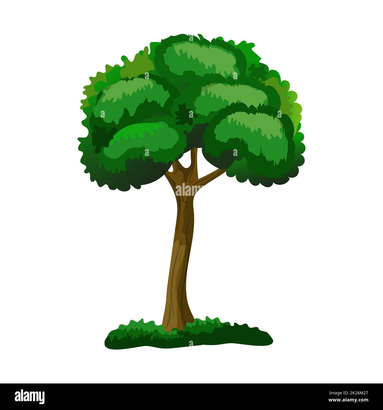 Realistic green deciduous tree isolated on white background - Vector ...