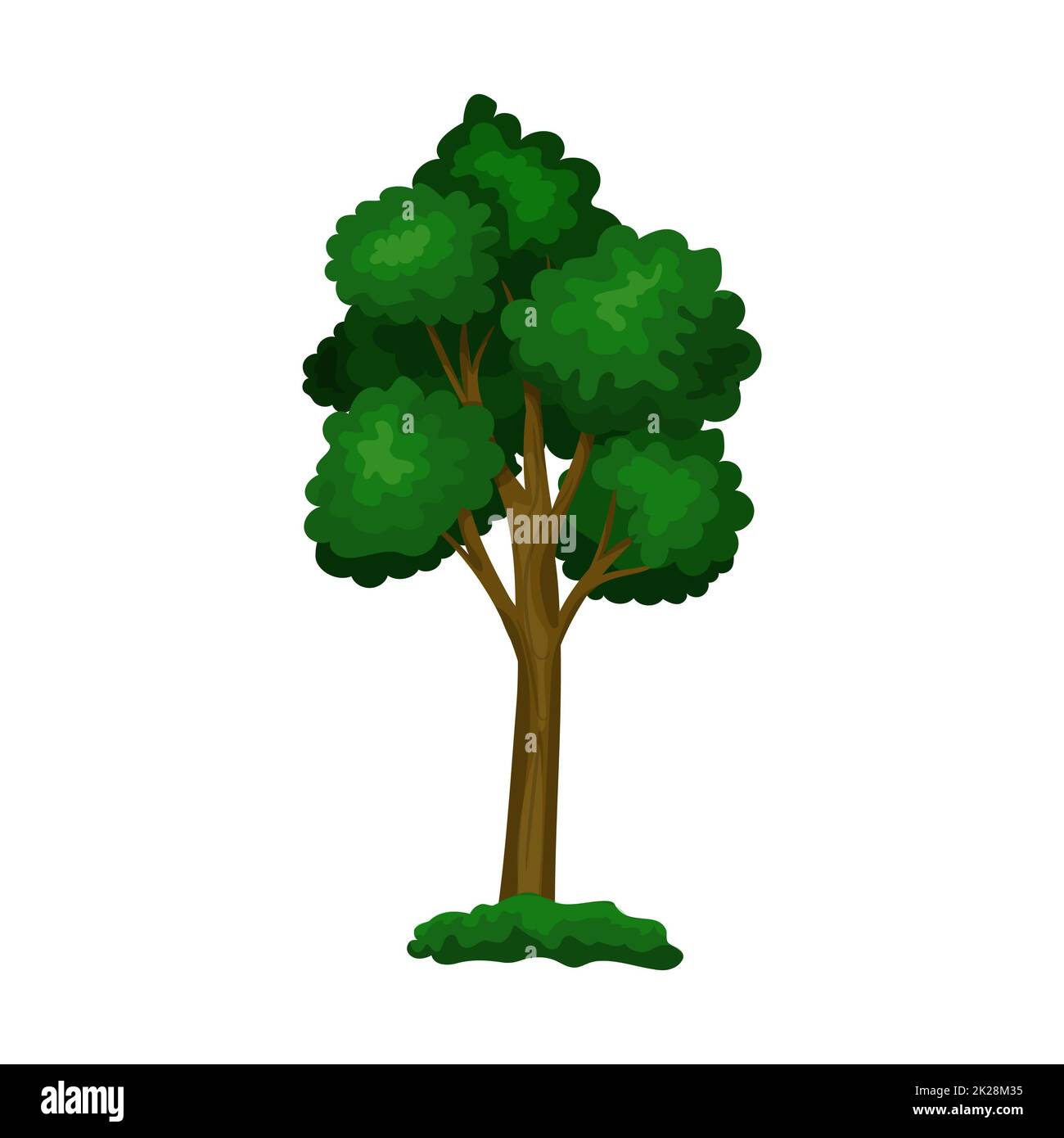 Realistic green deciduous tree isolated on white background Vector