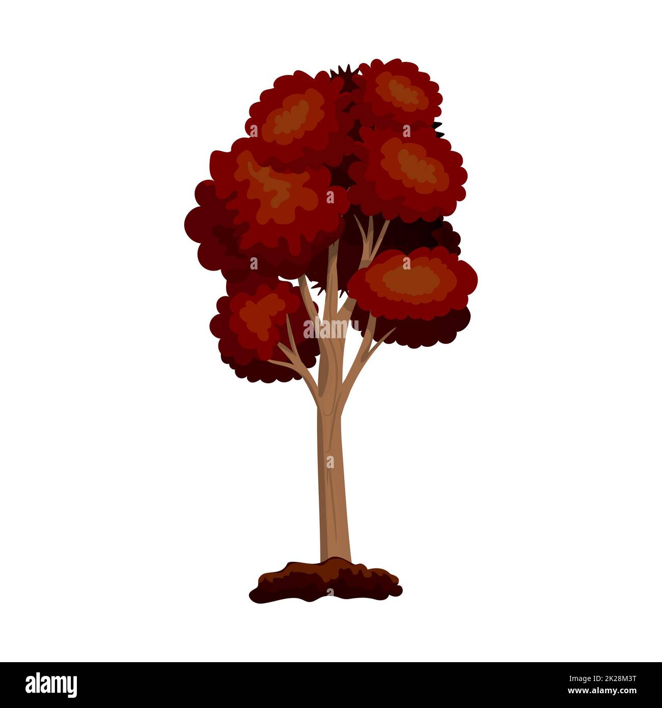 Realistic green deciduous tree isolated on white background - Vector ...
