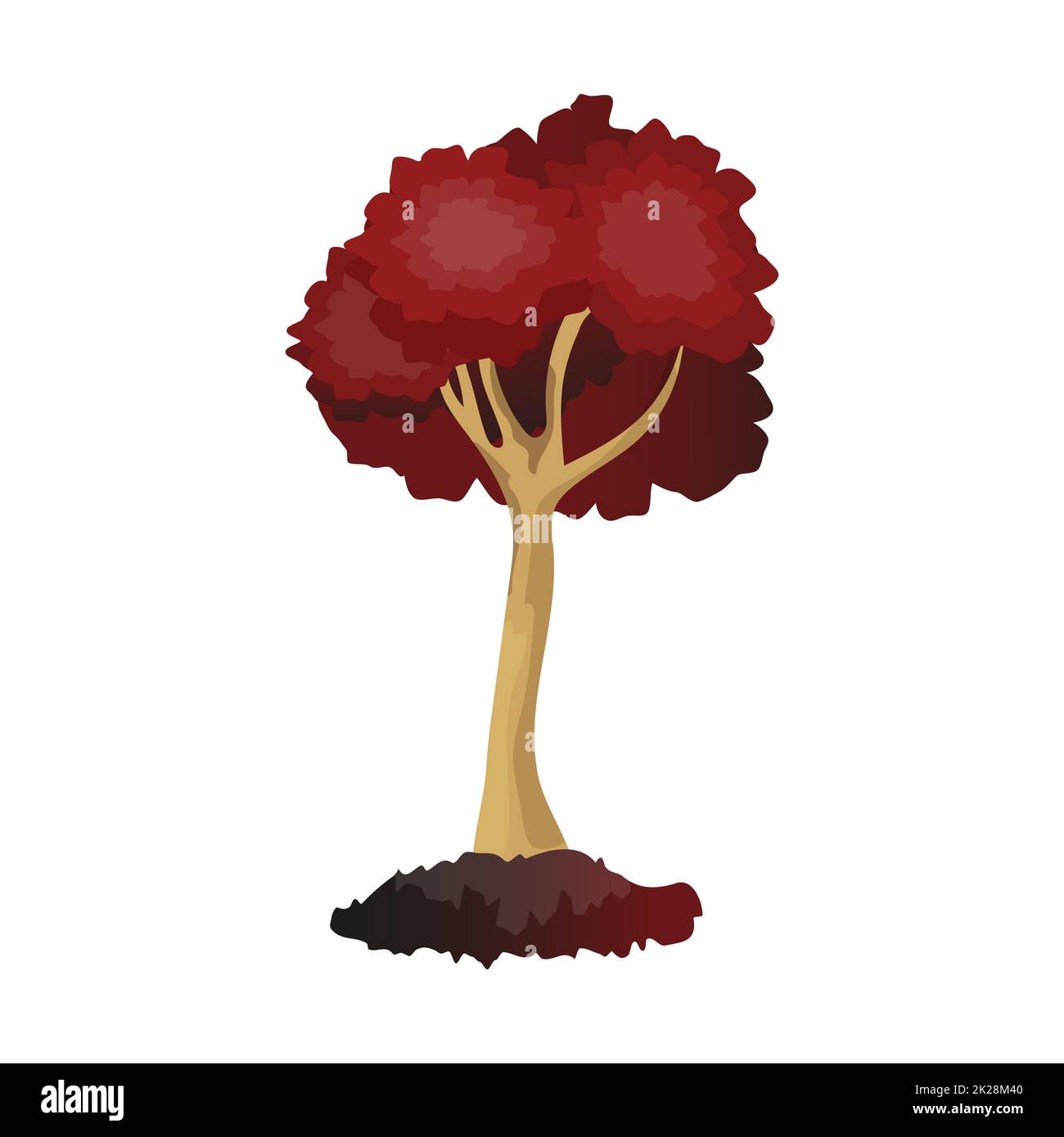 Realistic green deciduous tree isolated on white background - Vector ...