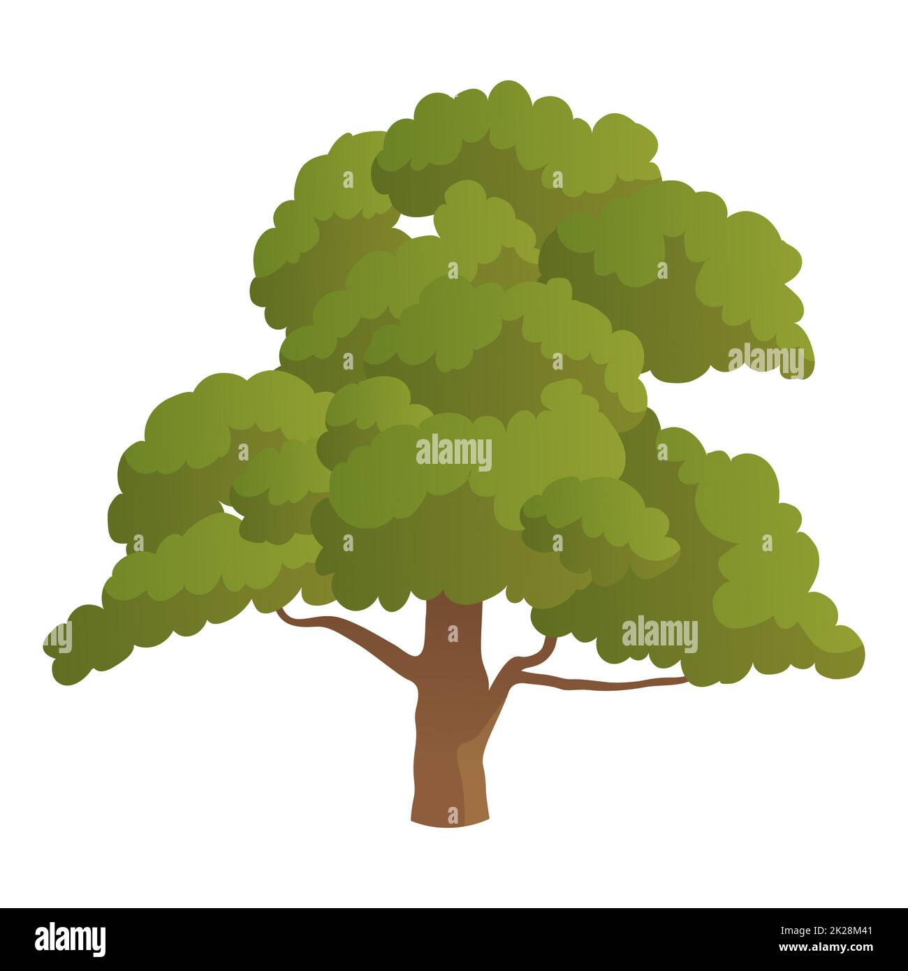 Realistic green oak isolated on white background - Vector Stock Photo ...
