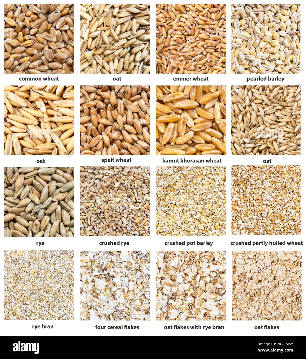 various cereal grains with names close up Stock Photo Alamy