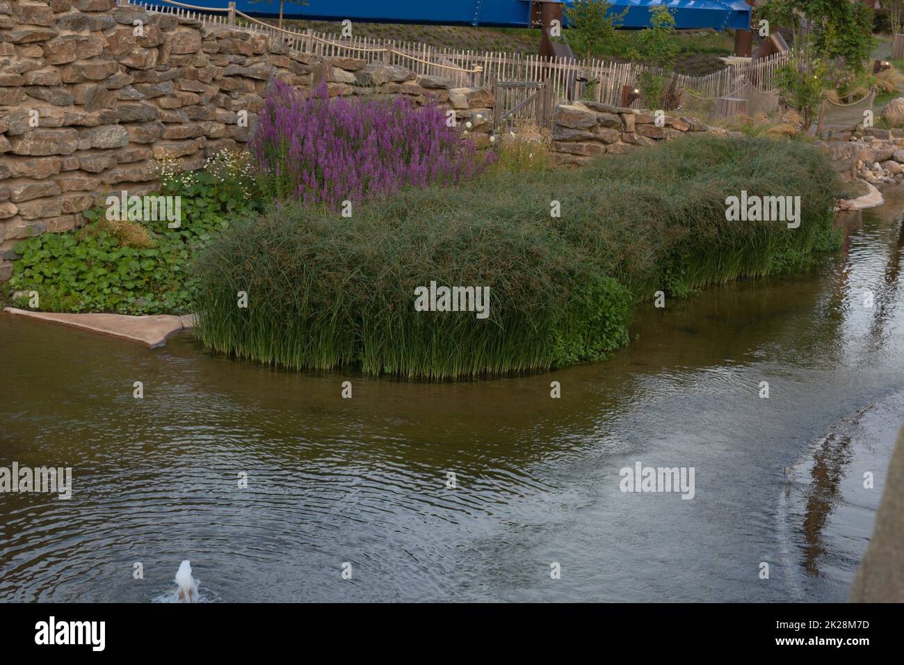 Small lake surrounded trees hi-res stock photography and images - Alamy