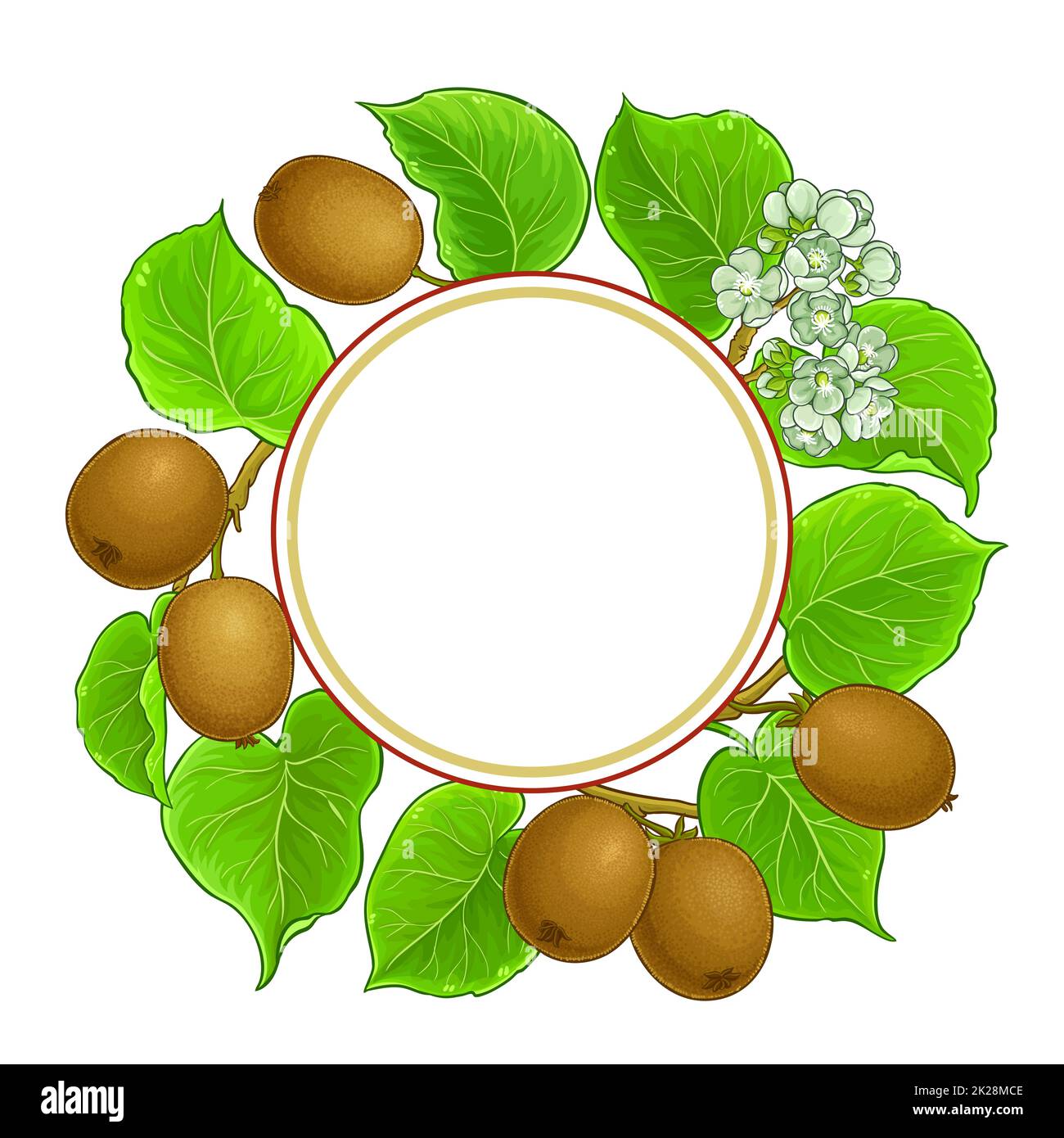 kiwi branches vector frame on white background Stock Photo - Alamy